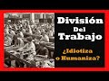 La División del Trabajo |Adam Smith