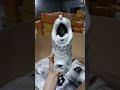 shoe factory, in Putian, China WeChat+8618359033609 WhatsApp：+8618359033609 #shoes#莆田鞋厂 #nike#adidas