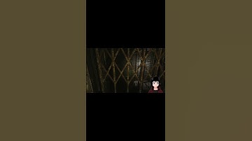 Elevators are full of surprises - Outlast