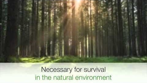 Colour constancy exhibit