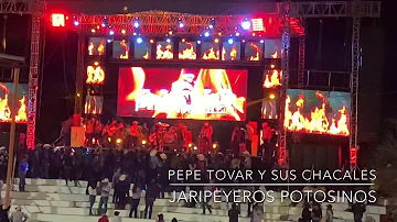 Pepe Tovar y sus Chacales - Amargo dolor