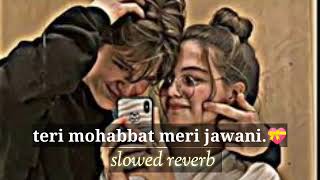 Teri mohabbat meri jawani 💖|| slowed reverb lofi mix| #youtube #song #mp3 #oldisgold screenshot 5