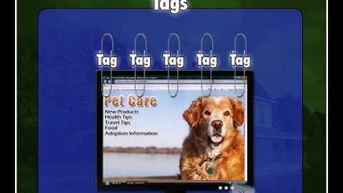 Learn How to StumbleUpon for Your Online Business