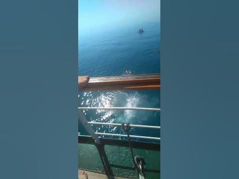 Судно ПУС Херсонес июнь 2023 год #курсант #влог #море #практика #судно ...