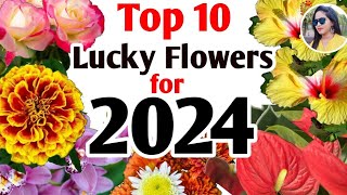 Top 10 lucky vastu flowers for 2024 | Vastu flowers for Goodluck, Happiness &amp; Prosperity