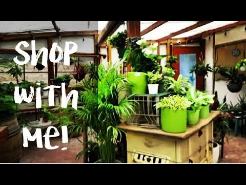 With Me At Barrels Branches Encinitas Ca 2019 You With Me At Barrels Branches Encinitas Ca 2019
