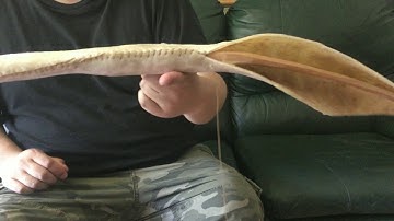 Native American Backing bow with rawhide part 2