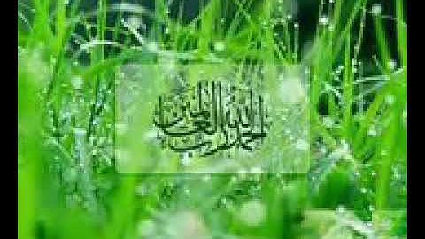 تلاوة مؤثرة من سورة الحجر  القاري عبد المحسن الحارثي
