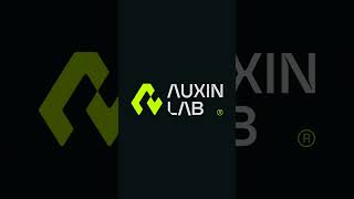 Auxin Lab Logo and Branding Design  - Logo design process