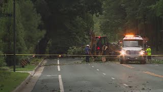 Williamsburg man dead on the scene after tree branch falls on car