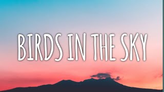 NewEra - Birds In The Sky (lyrics)