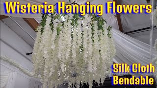 Wisteria Hanging Flowers