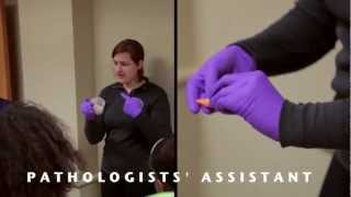 Wayne State Pathologists' Assistant Program