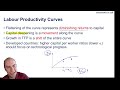 Labour Productivity Curves Explained | CFA Level 2 Economics