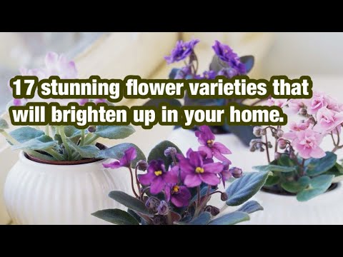 17 Stunning Flower Varieties That Will Brighten Up In Your Home.