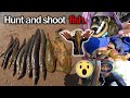 Hunt and shoot fish wow