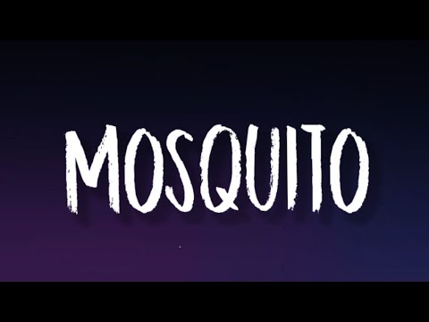 Pinkpantheress Mosquito Lyrics Pinkpantheress Mosquito Lyrics