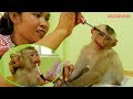 Monkey Make Up!! Mom Make Up Face For Monkey Kako So Funny | Make Up Baby Monkey