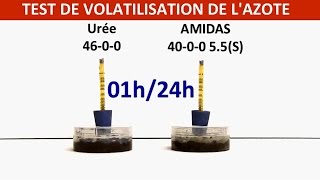 Test de volatilisation de l'azote : Amidas vs urée