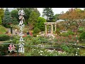 YOKOHAMA. Minato-no-mieru-oka Park 2020 Autumn.#4K #港の見える丘公園 #秋バラ