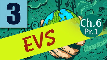 Class 3 | EVS Chapter 6 : Getting to Know the Place we Live in Part 1