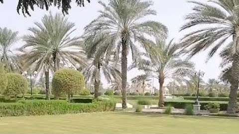 جزء 1. القارئ سيف الفرقاني 