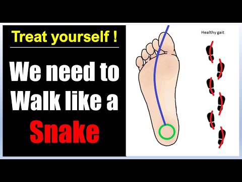 Video: Hoe Slange Beweeg