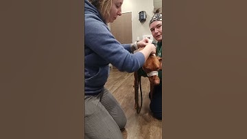 Skill #10 applying gauze muzzle