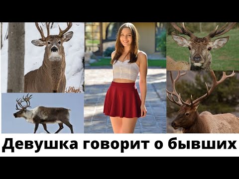 Девушка постоянно говорит о бывших Что делать с отношениями?