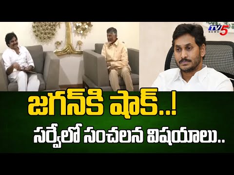 APలో ఎన్డీయే హవా | Big Shok To YSRCP | ABP Sensational Survey | BJP-Janasena And TDP | Tv5 News - TV5NEWS