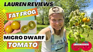 Lauren Reviews FAT FROG Micro Dwarf Tomato