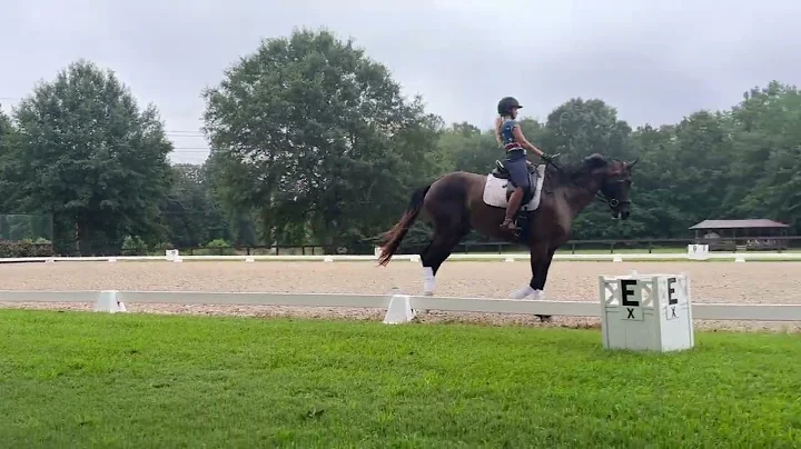 Scott Hassler Clinic - Dreamliner - July 2022