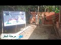 HARO WATER WELL PROJECT | 11223