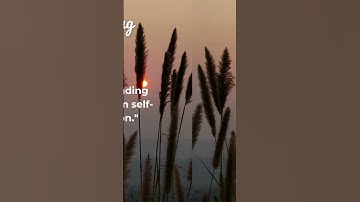 "Understanding: 4 Inspiring Quotes to Reflect On This Evening"