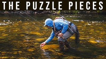 How To Pick The RIGHT Dry Fly!