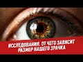 От чего зависит размер нашего зрачка - Исследования