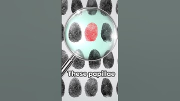Do you know ? Just like fingerprints, everyone