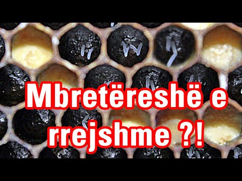 Video: Cila është madhësia e armaturës #6?