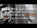 Jeremy reed  raw power ted hughes  the archetypal underworld  temenos academy talk