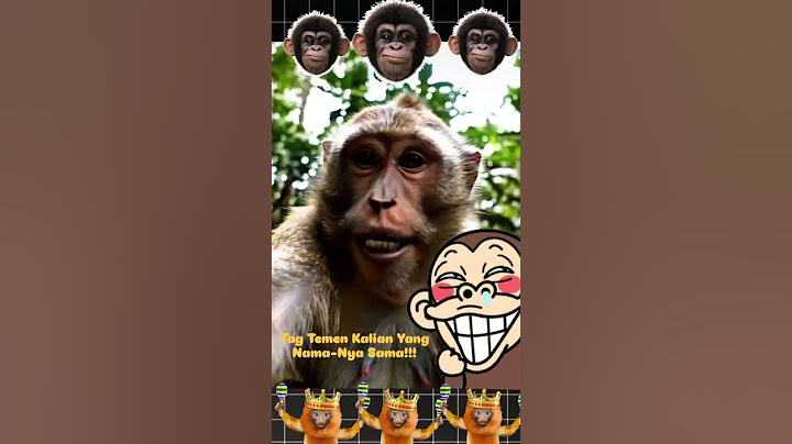 TAG TEMEN KALIAN!!! #shorts #monkey  #shortvideo