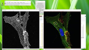 Fiji Is Just ImageJ - ome.tif - Part 2 - Metadata