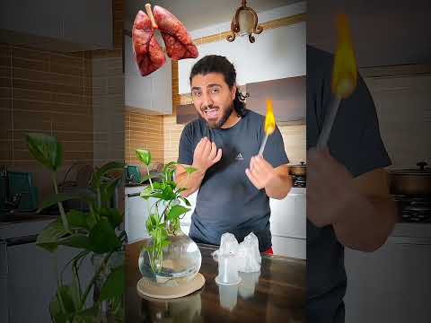 سیـ گار و قلیـ ون میکشی