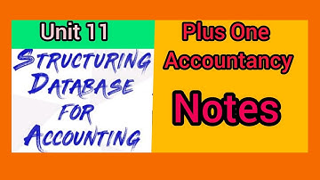Plus One Accountancy  Chapter 11 Structuring Database for Accounting  Notes