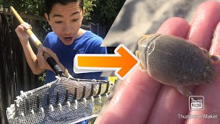 How to make a sand flea rake to catch sand fleas (FREE BAIT)