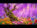No Ads Spring Healing Music Anxiety Relief Inner Peace Restoration Therapy 