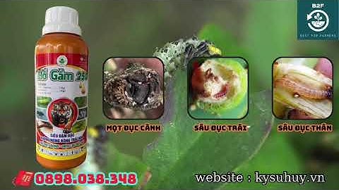 HỔ GẦM 250 – TRỊ RẦY XANH, BỌ TRĨ, RẦY NHẢY - 0898.038.348 #hogam250