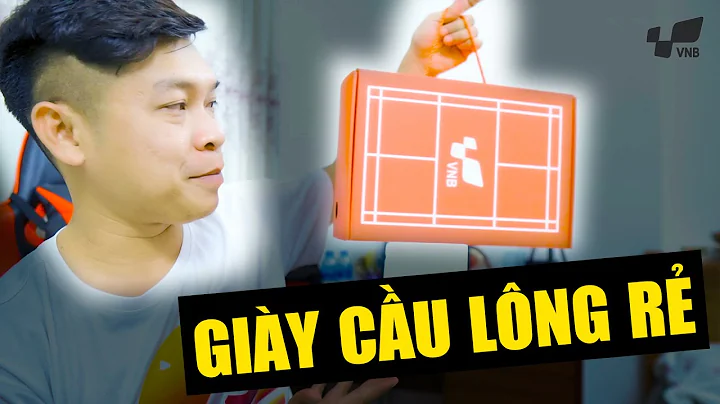 GIÀY CẦU LÔNG GIÁ RẺ, CHÍNH HÃNG, CHẤT LƯỢNG | Review Giày cầu lông VNB V001 - Bền, rẻ và đẹp