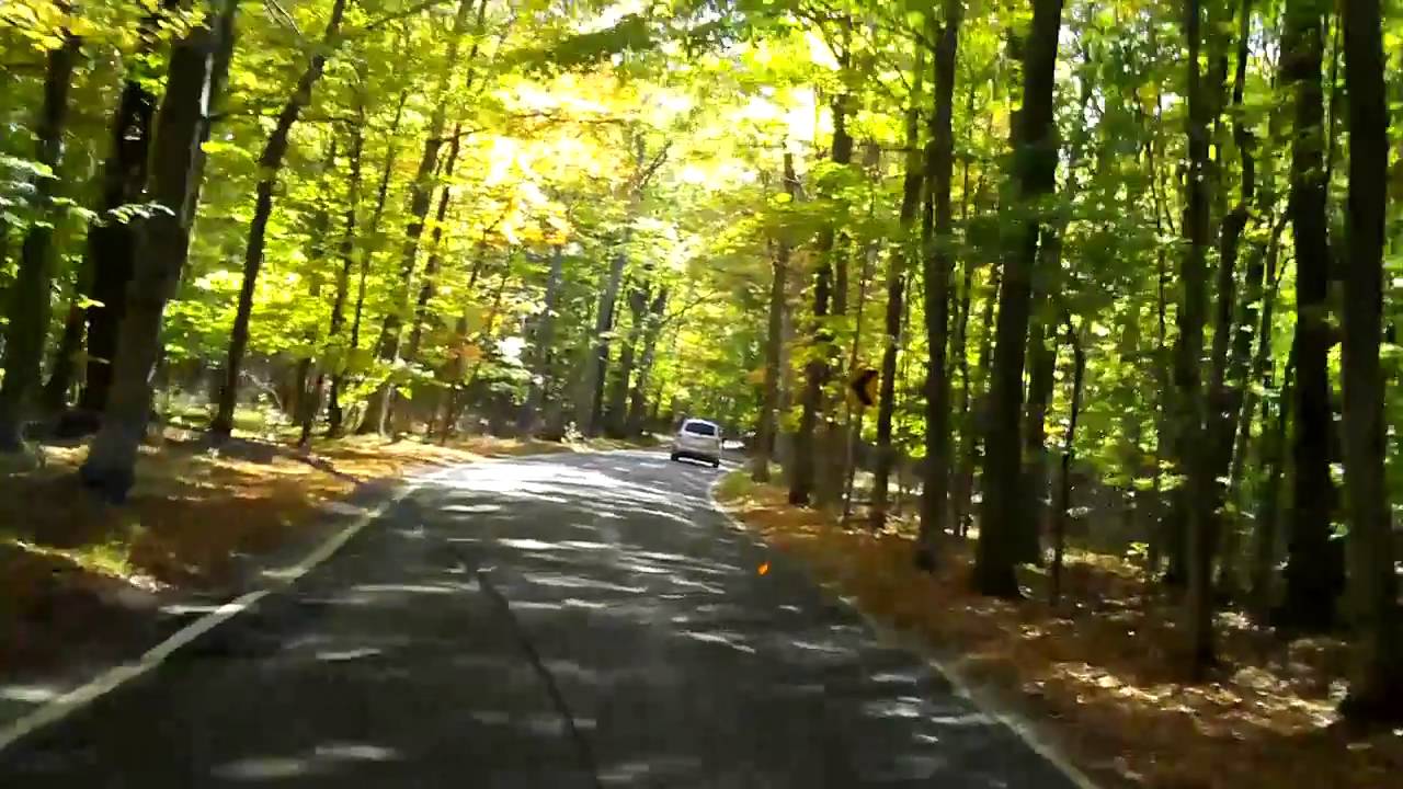 Where can you find a tunnel of trees?