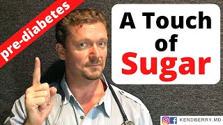 A Touch of Sugar (PreDIABETES Explained) 2024