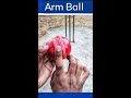 How to grip arm ball  how to bowl arm ball  shorts armball cricketshorts